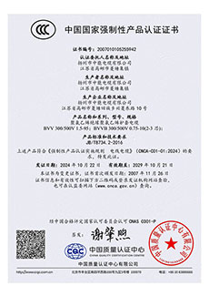 CCC强制性产品认证证书 (3)