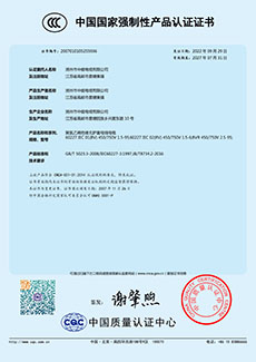 CCC强制性产品认证证书 (1)
